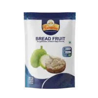 Ammachies Breadfruit (കടച്ചക്ക / பலாப்பழக்காய் / పనసకాయ)