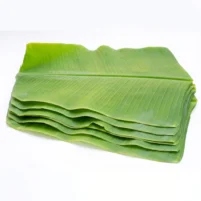 Fresh Banana Leaf (നാടന്‍ വാഴയില) 5 Qty