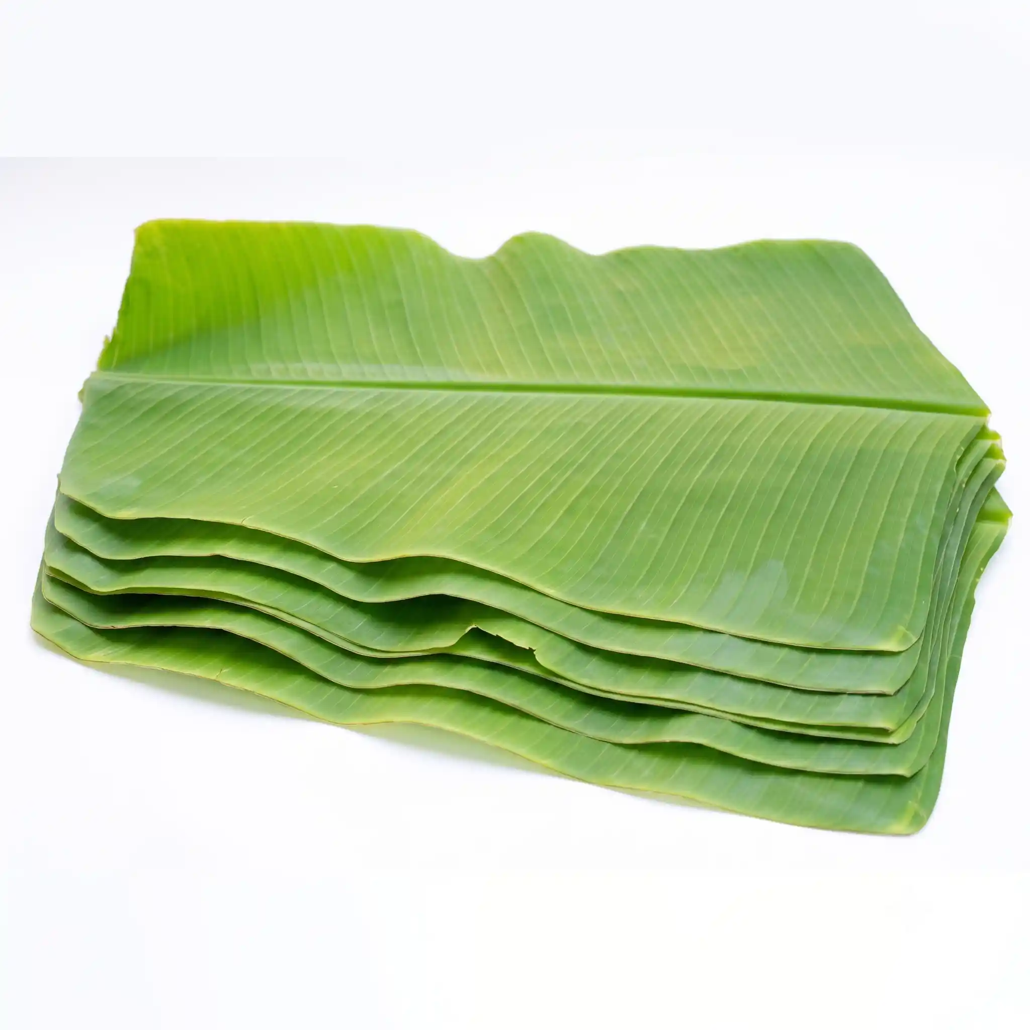 Fresh Banana Leaf (നാടന് വാഴയില) 5 Qty