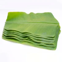 Fresh Banana Leaf (നാടന്‍ വാഴയില) 10 Qty
