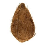 Fresh Coconut