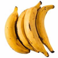 Yellow Plantain Bulk (Fresh)