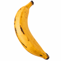 Yellow Plantain (Fresh)